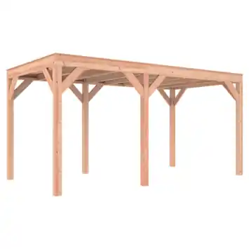 Overkapping Douglas a-symmetrisch 495 x 255 cm