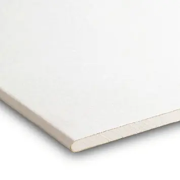 Gyproc gipsplaat plafondplaat 60 x 200 cm dikte 0,95 cm (RK)