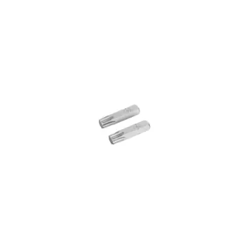 Irwin schroefbit Torx 25 mm T40. 2 stuks.