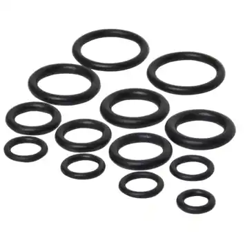 Sanivesk O-Ringen Assortiment 12 stuks