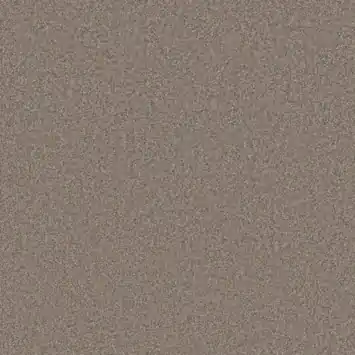 Kleurstaal tapijt missouri taupe 190498