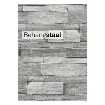 Behangstaal vliesbehang leisteen grijs (dessin 103948)