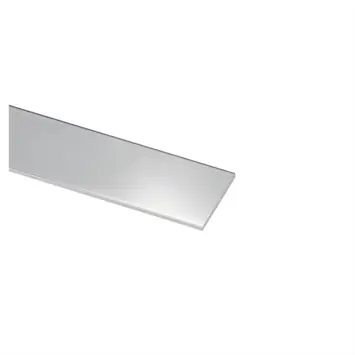 Plat profiel RVS 20x1x1000 mm