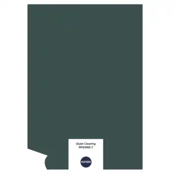 Histor color tester quiet clearing